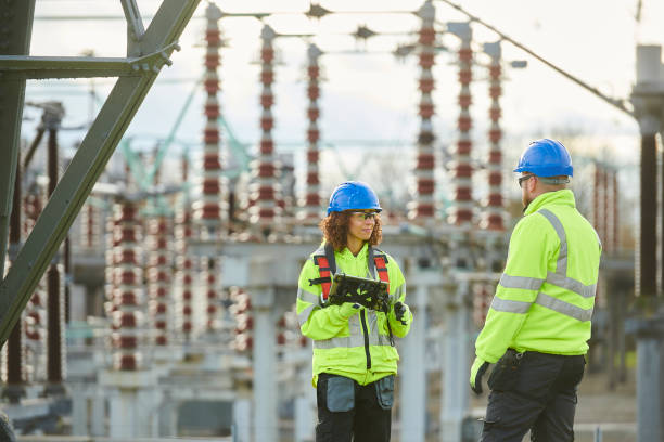 Best Electrical System Inspection  in Elgin, MN