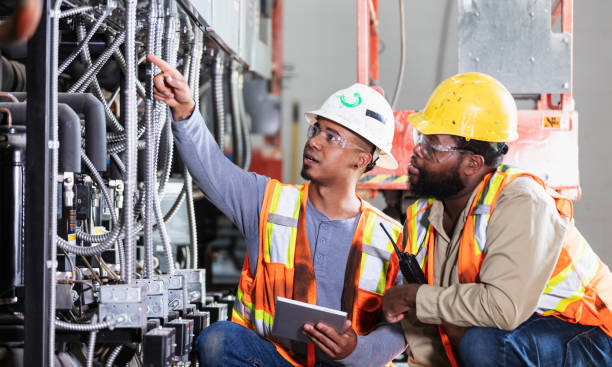 Best Residential Electrician Services  in Elgin, MN