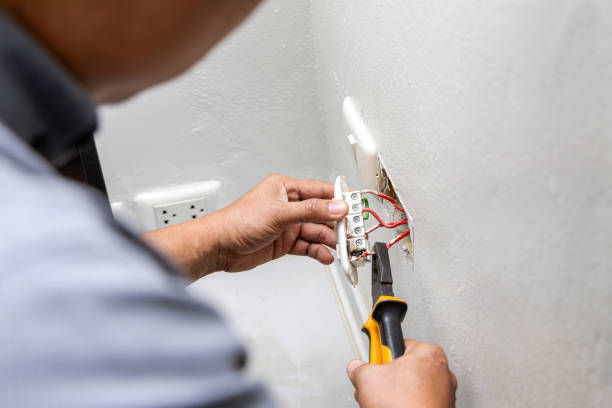 Best Affordable Electrician  in Elgin, MN